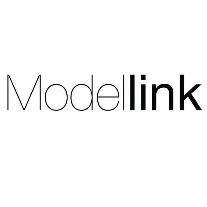 Modellink