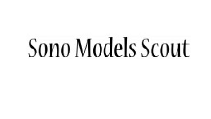 Sono models Scout