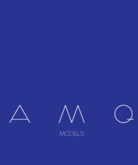 AMQ MODELS