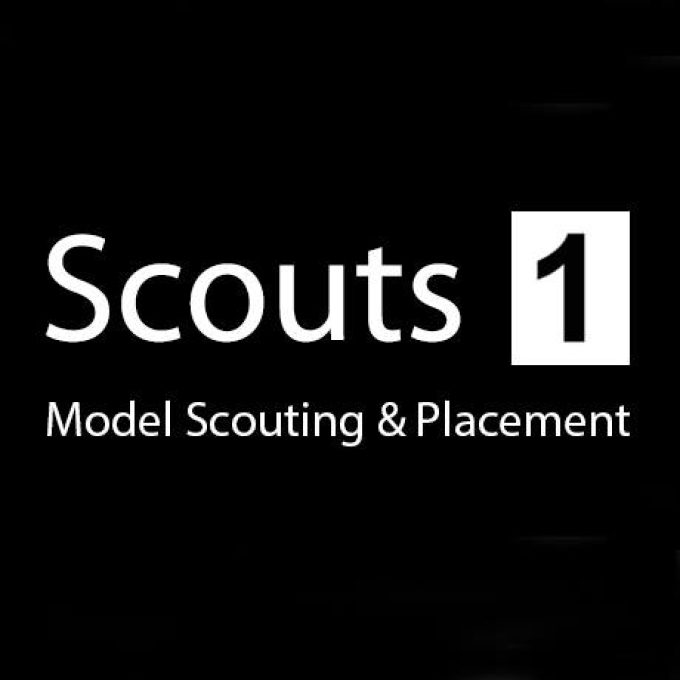Scouts 1 Agency