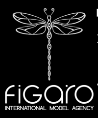 Figaro International Management Group