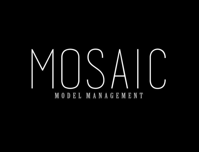 Mosaic Model Management