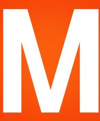 Management + Artists + Organization