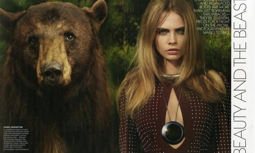 CARA’S CRITIQUE OF THE MODELLING INDUSTRY