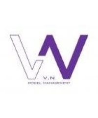 VN Model Management