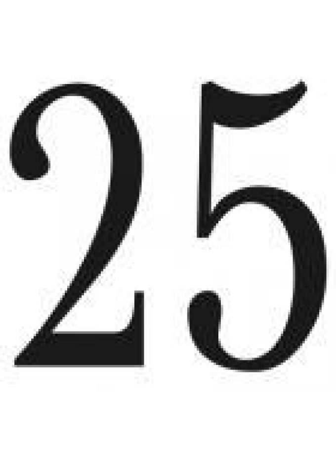 25 Model Management