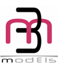 FMM MODEL MANAGEMENT
