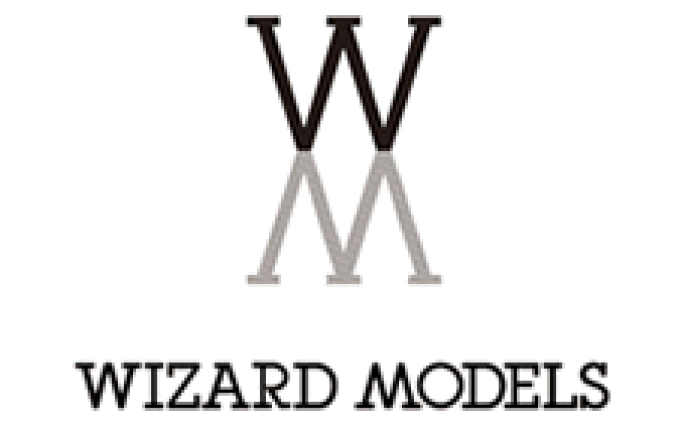 Wizard Models