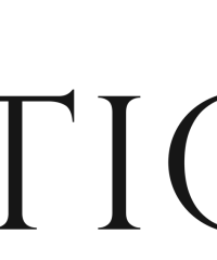 Option Model and Media